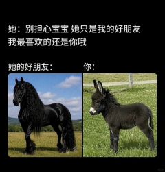 �������� | �ִ������ж಻��ѹ��