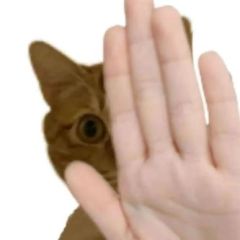 �������� | ������ͼ��������һ������