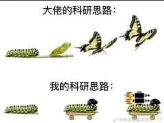 �������� | �ҵ�̰�Ƴ̶�be like��