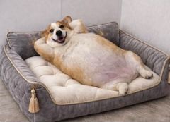 �������� | ��������ֱ�ǵ�ɽ��ˮ������ ��������