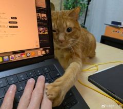 �������� | �������һֱ����ֵ�����