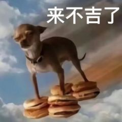 ɳİ | ΪʲôһʼʾͲˣ
