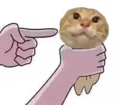 ɳ���İ� | ��ʵ��Ҳ�㽨ģ��